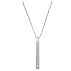 Ed Levin Anticipation Pendant